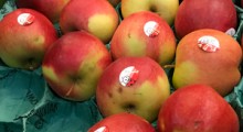 Ceny w sklepach rosną jak na drożdżach, ale nie jabłek ! 