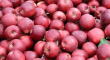 Ceny jabłek deserowych w UE – kwiecień 2022