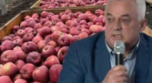 Chołyk: Skup jabłek będzie skuteczny, o ile… przetwórnie nie obniżą ceny ! 