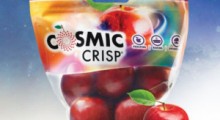 Jabłka Cosmic Crisp® podbiją europejski rynek 