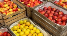 ZSRP: Ceny jabłek deserowych na Broniszach – 19 maja 2022 r.