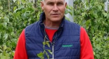 Komunikat sadowniczy - grusza - 26.05.2022 – Agrosimex