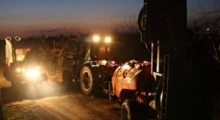 Prace wykonywane przez sadowników w porze nocnej są zgodne z prawem
