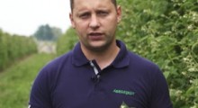 Komunikat jagodowy - malina - 9.06.2022 – Agrosimex	