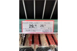  Jagoda kamczacka - cena 29,99 zł netto (VAT 0%)