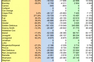  WAPA 6/2022: Zapasy jabłek w chłodniach - odmiany