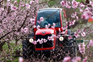 ANTONIO CARRARO TGF 10900