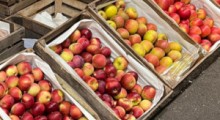 Ceny jabłek na rynkach hurtowych – 26 sierpnia 2022 r.