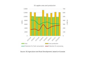  Powierzchnia i produkcja jabłek w UE