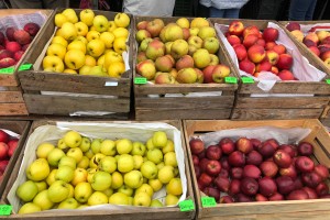  Ceny jabłek na straganie [fot 7.]