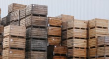 Czy ceny drewnianych palet i opakowań spadną ? 