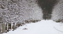 Silny atak zimy – spadnie nawet 15 centymetrów śniegu ! 
