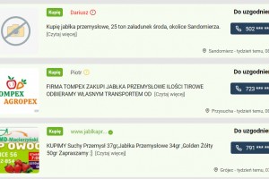  Kupie jabłko przemysłowe - ogłoszenia na IGRIT 