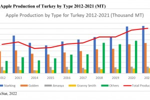  Zbiory poszczególnych odmiany jabłoni w tureckich sadach 