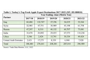  Eksport tureckich jabłek 