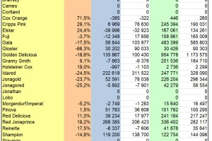  WAPA 12/2022: Zapasy jabłek w chłodniach UE - odmiany. 