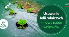 Usuwanie folii rolniczych – ruszył nowy nabór wniosków
