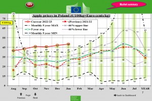  Ceny jabłek w Polsce – styczeń 2023