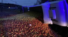 Tony jabłek rozsypane na polu – wypadek ciężarówki 