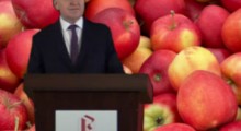 Trudna sytuacja producentów jabłek. Jakie działania MRiRW? 
