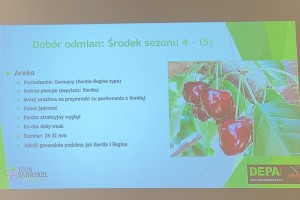  Dobór odmian czereśni: środek sezonu - tydzień 4(5)