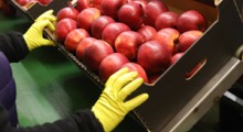 Więźniowie zatrudnieni przez eksportera owoców 
