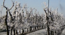 Przymrozki – temperatury spadną do -10 stopni C ! 