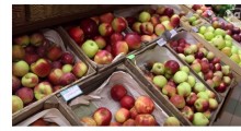 Ubiegłoroczne zbiory jabłek zostały sprzedane
