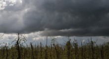 Nadchodzący tydzień zapowiada się stosunkowo ciepło