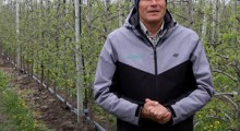 Komunikat sadowniczy - jabłoń - 25.04.2023 - Agrosimex