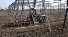 Oszukiwała sadowników i rolników na dotacje. Wyłudziła 300 tys. zł !  