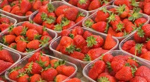 Ceny truskawek w dół – 23 maja 2023 roku 