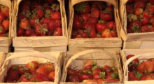Ceny truskawek na Giełdzie Goławin – 24 maja 2023 roku 