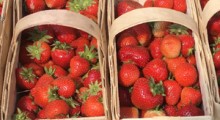 Duży spadek cen truskawek na Giełdzie Goławin 