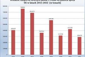  Wielkość eksportu jabłek w porównaniu do lat poprzednich przedstawia