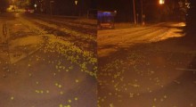 Jabłka rozsypane na dwukilometrowym odcinku drogi 