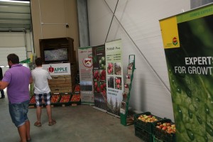 AJApple - grupa hodowlana i jej nowe odmiany