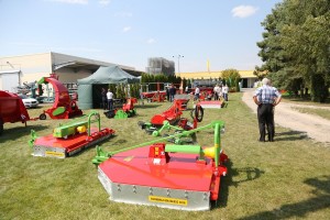 oferta firmy DITTA-SERIA