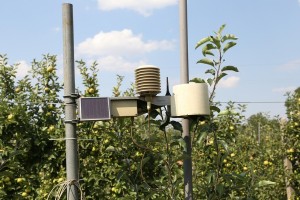 Stacja meteo w sadzie pomologicznym grupy hodowlanej AJApple