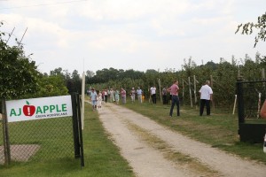 Sad pomologiczny grupy hodowlanej AJApple 