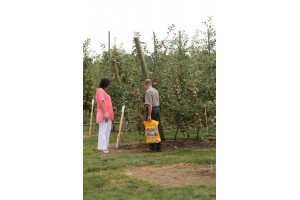 Zwiedzanie sadu pomologicznego grupy hodowlanej AJApple 