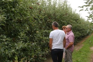 Zwiedzanie sadu pomologicznego grupy hodowlanej AJApple 