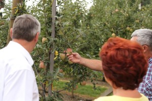Zwiedzanie sadu pomologicznego grupy hodowlanej AJApple 