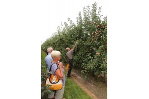 Zwiedzanie sadu pomologicznego grupy hodowlanej AJApple 