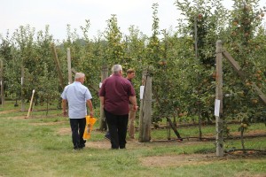 Zwiedzanie sadu pomologicznego grupy hodowlanej AJApple 