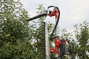 Pokaz maszyn i urządzeń sadowniczy