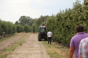 Pokaz maszyn i urządzeń sadowniczy