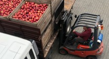 Eksport polskich jabłek od stycznia do lipca 2023 roku