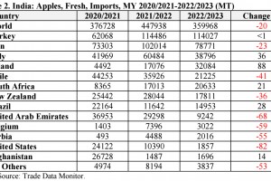  Indie - Import jabłek od sezonu 2020/2021 do 2022/223