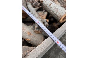  Ceny drewna z sadu 2023. (foto 4)